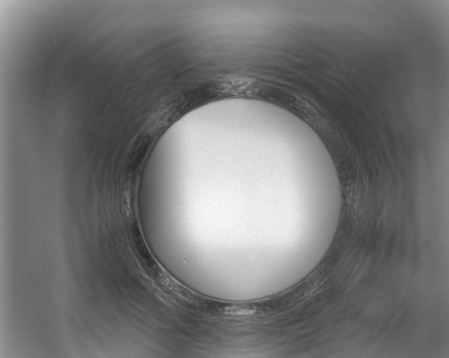 X0000056000602200508190823