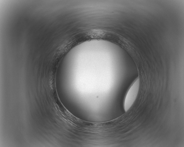 X0000056000604200508190823