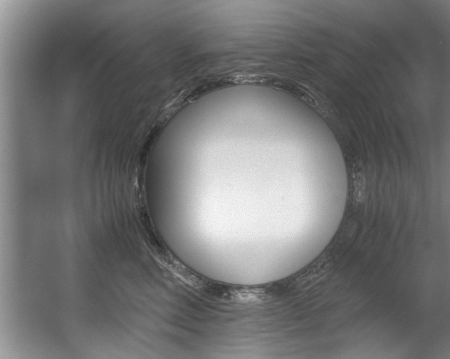 X0000056000618200508190823