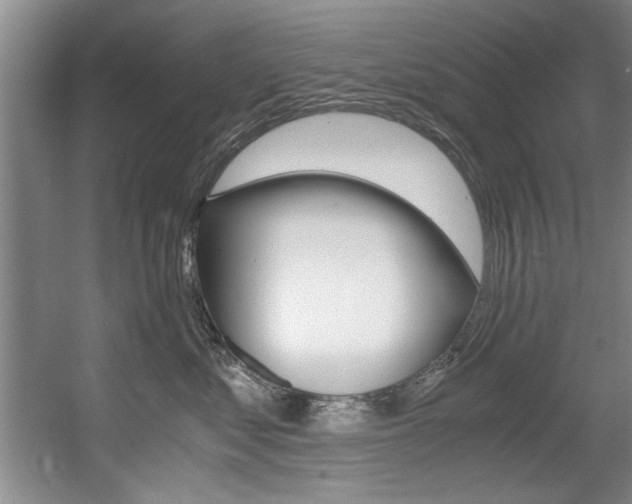 X0000056000621200508190823