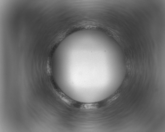 X0000056000622200508190823
