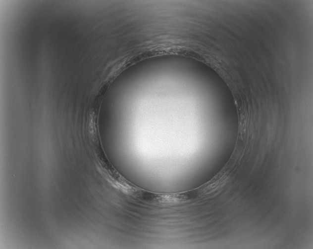X0000056000623200508190823