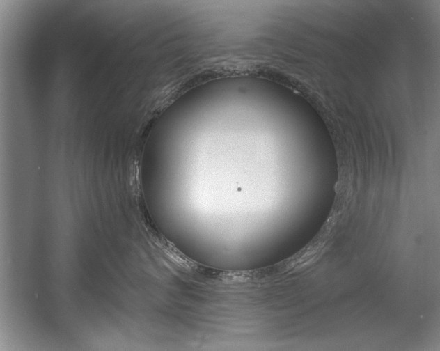 X0000056000624200508190823