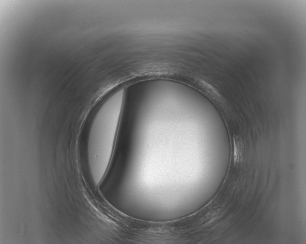 X0000056000627200508190822
