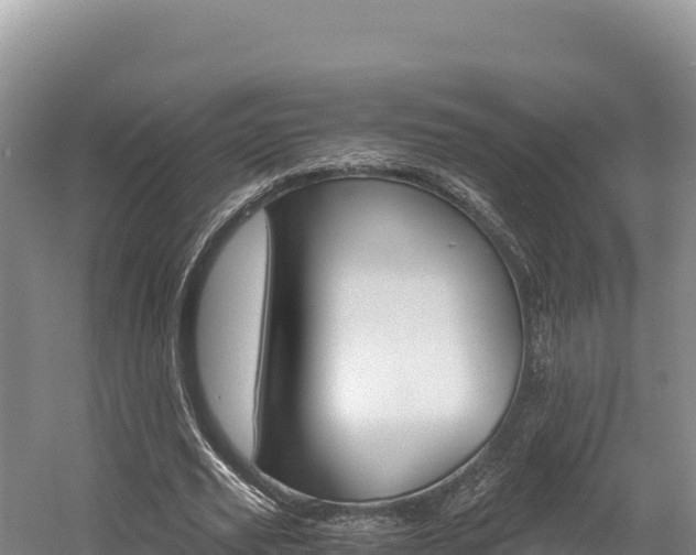 X0000056000629200508190822