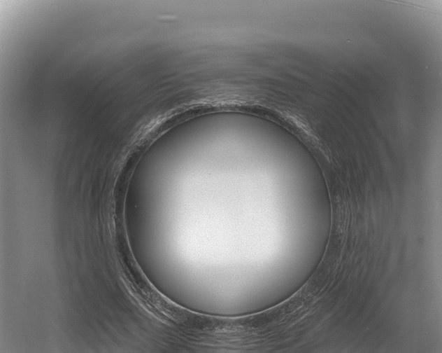 X0000056000631200508190822