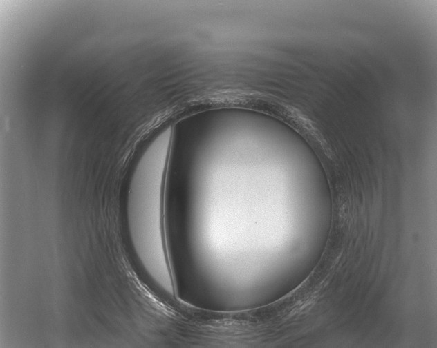 X0000056000633200508190822