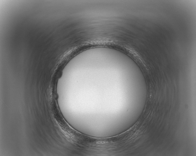 X0000056000636200508190822
