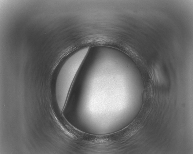 X0000056000638200508190822