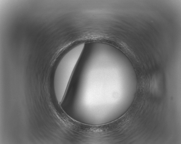 X0000056000640200508190822