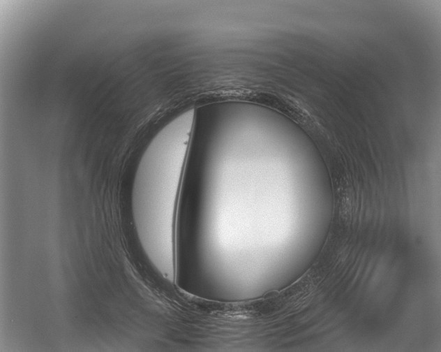 X0000056000643200508190822
