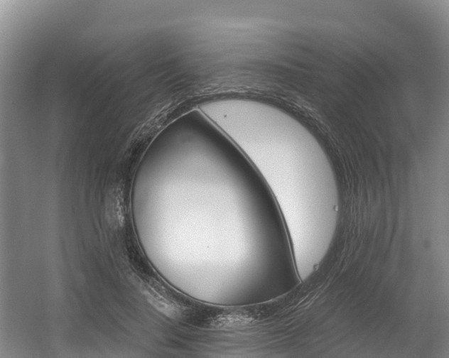 X0000056000644200508190822