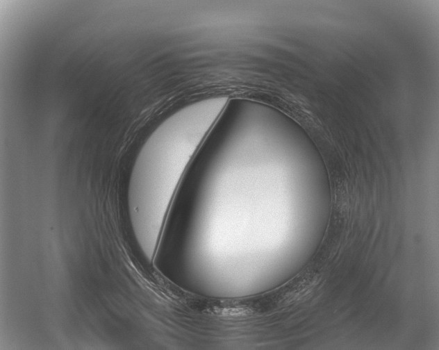 X0000056000645200508190822