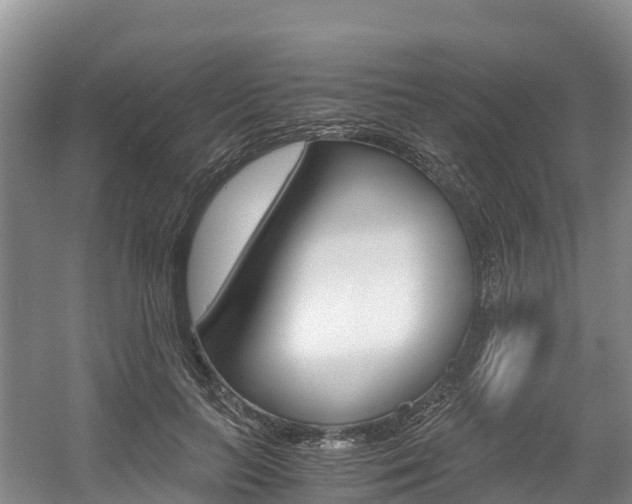 X0000056000647200508190822