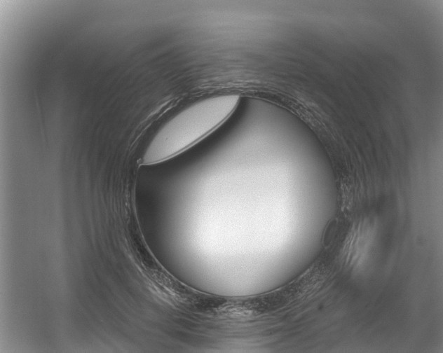 X0000056000648200508190822