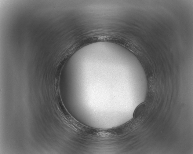 X0000056000650200508190822