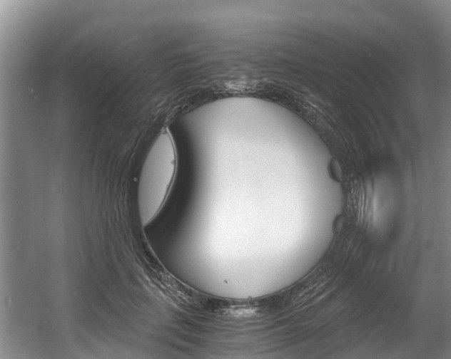 X0000056000651200508190823