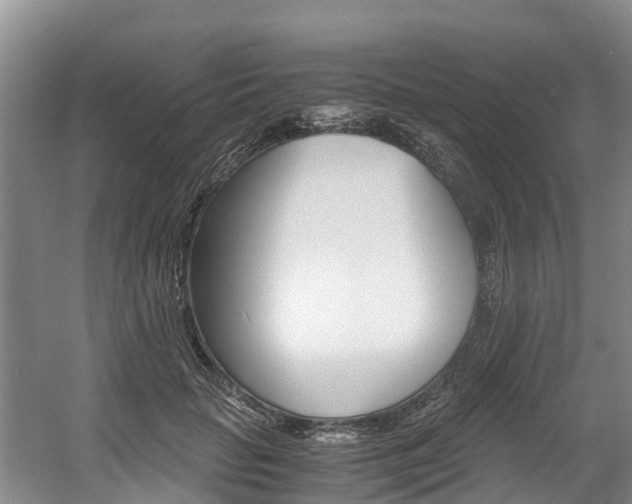 X0000056000653200508190823