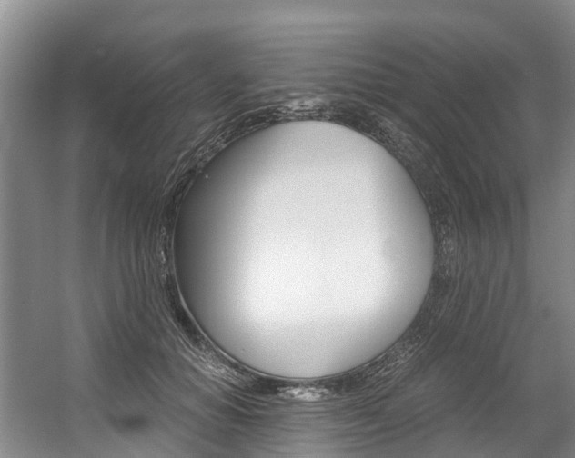 X0000056000654200508190823