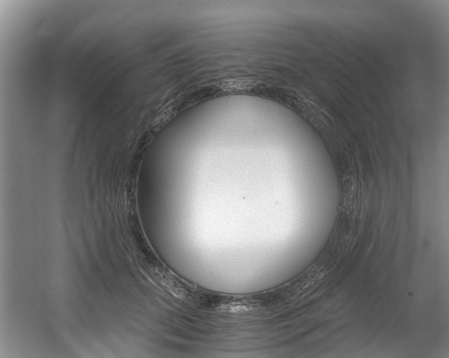 X0000056000655200508190823