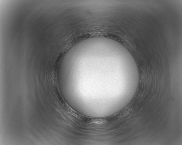 X0000056000659200508190823