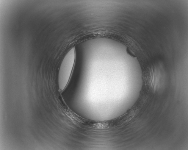 X0000056000660200508190823