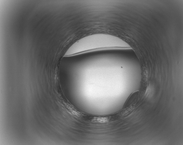 X0000056000665200508190823