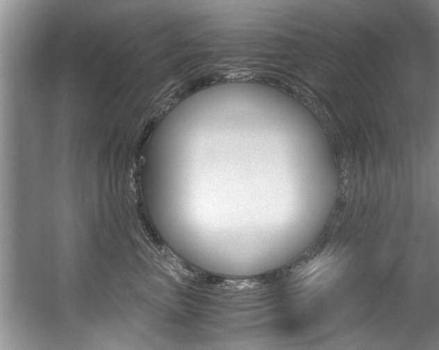 X0000056000667200508190823