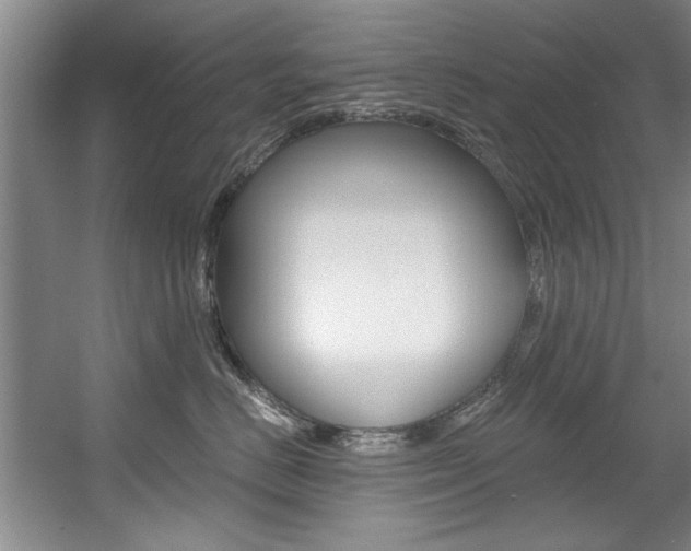 X0000056000670200508190823