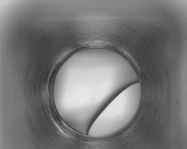 X0000056000674200508190822