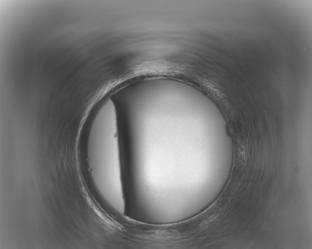 X0000056000678200508190822