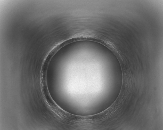 X0000056000680200508190822
