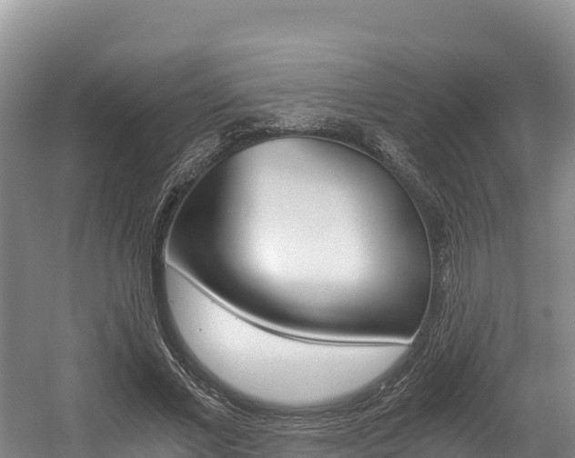 X0000056000685200508190822