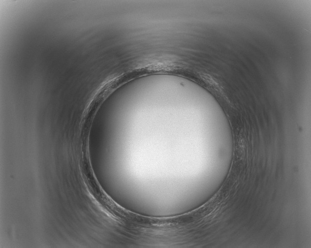 X0000056000686200508190822