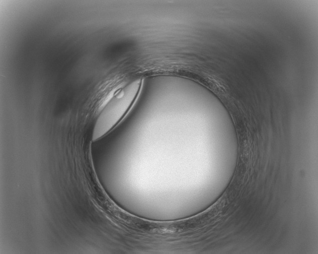 X0000056000687200508190822