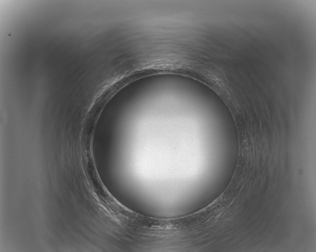 X0000056000688200508190822