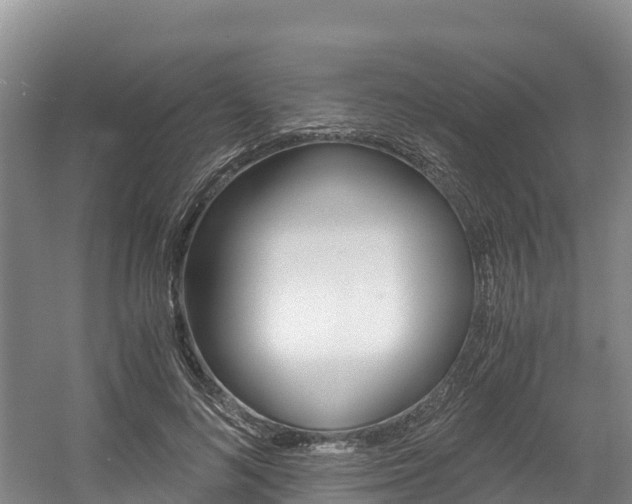 X0000056000692200508190822