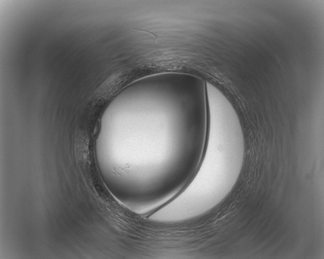 X0000056000693200508190822