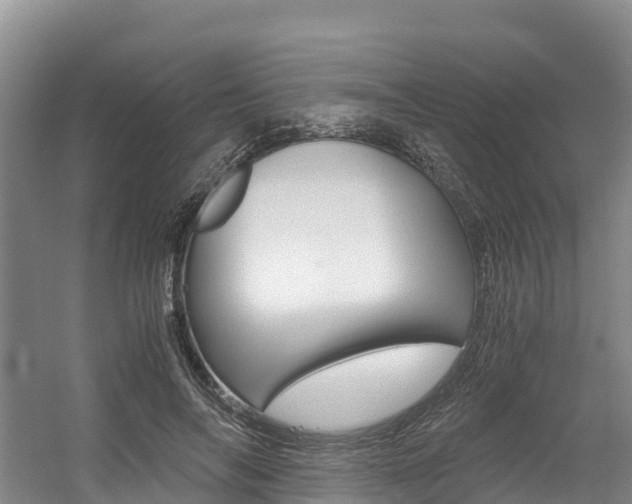X0000056000694200508190822