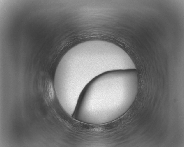 X0000056000695200508190822