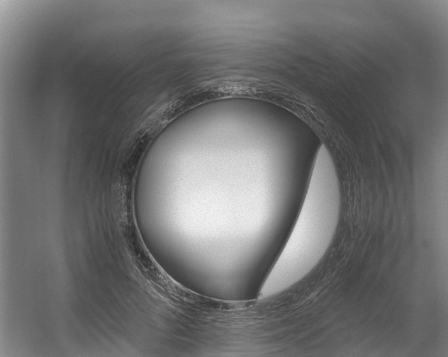 X0000056000696200508190822