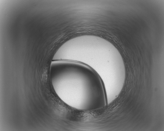 X0000056000697200508190822