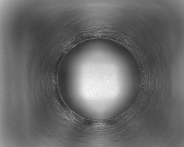 X0000056000704200508190822