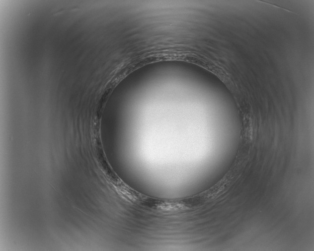 X0000056000712200508190821