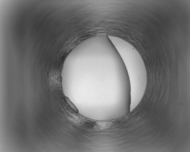 X0000056000713200508190821