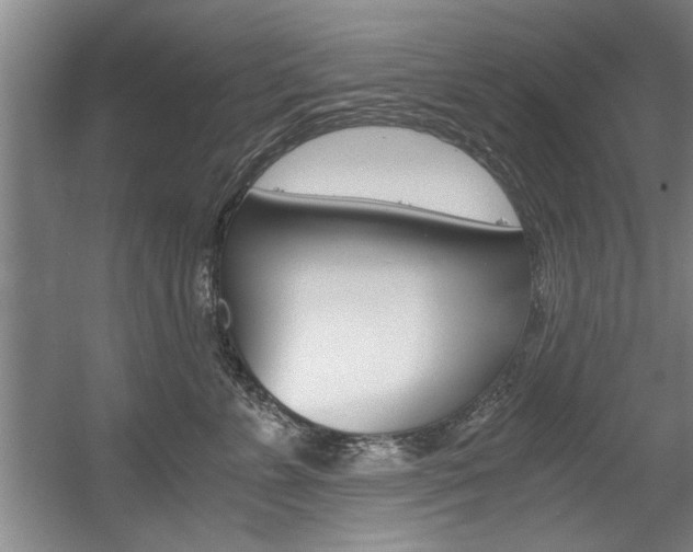 X0000056000715200508190821