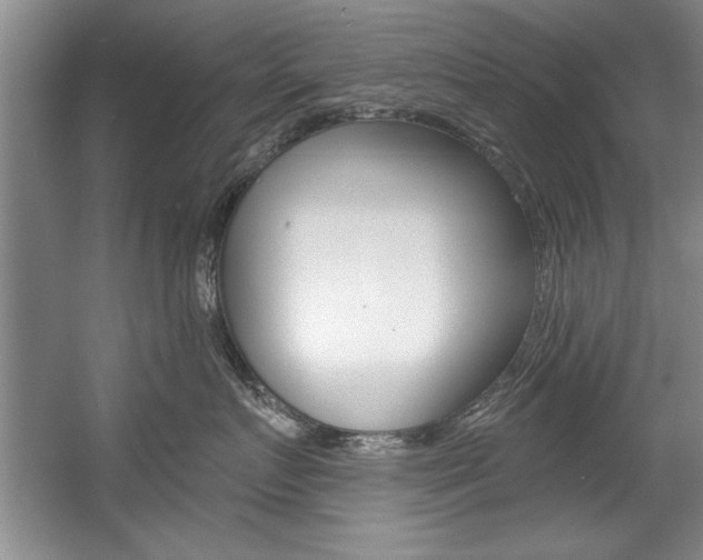 X0000056000719200508190821