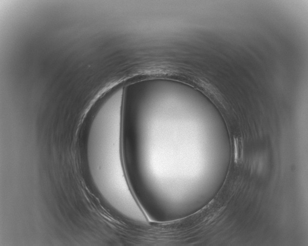 X0000056000723200508190820