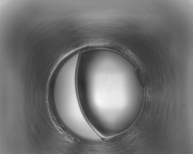 X0000056000724200508190820