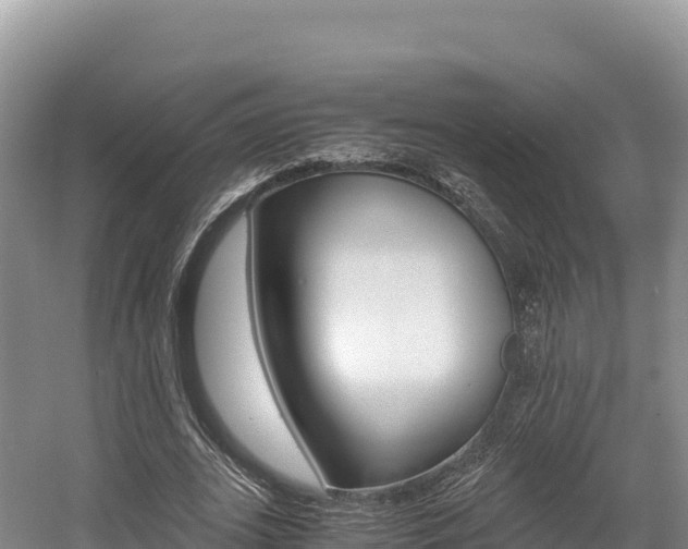 X0000056000727200508190821